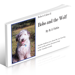 Bobo and the Wolf by R.J. Faltin